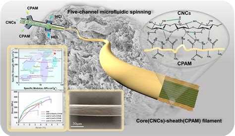  Cellulose Nanocrystals：為高性能複合材料帶來革命性的強化！