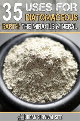 Diatomaceous Earth: 應用於過濾和吸附的天然奇蹟！