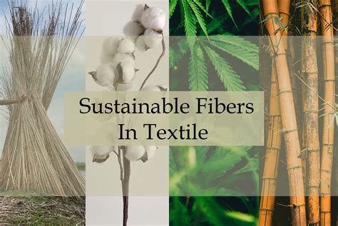 Hemp Fiber: Exploring Its Potential for Biocomposites and Sustainable Textiles!