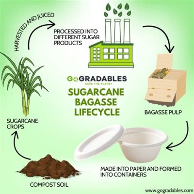  甘蔗渣：生物基材料與可持續農業的完美結合！