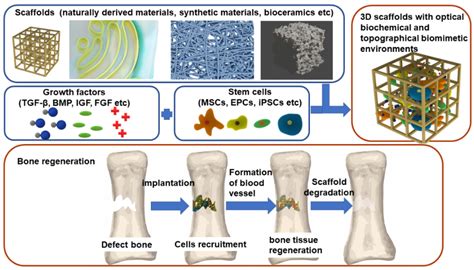 Wool-Based Biomaterial: An Emerging Star for Sustainable Bone Regeneration and Drug Delivery Systems!