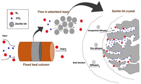  Zeolite: 高效吸附與催化應用新星！